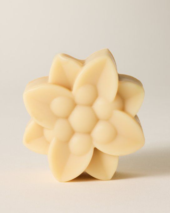 Fleur de Shampoing