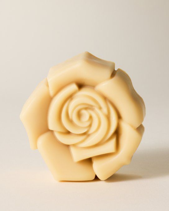 Fleur de Shampoing